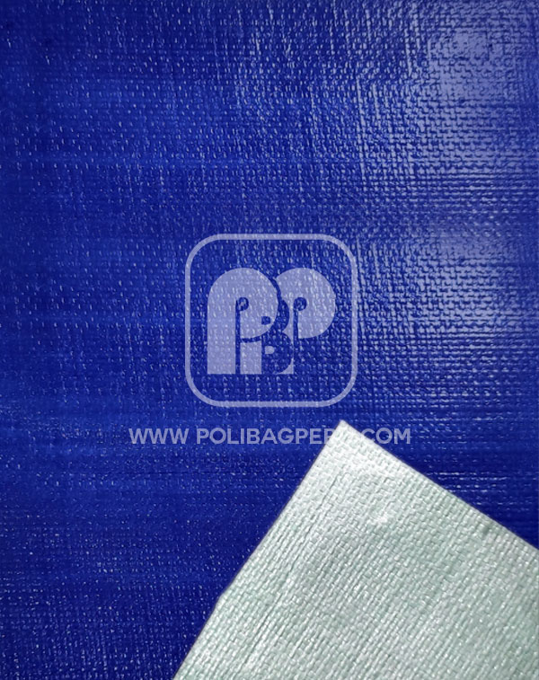 tarflex-azul-plata
